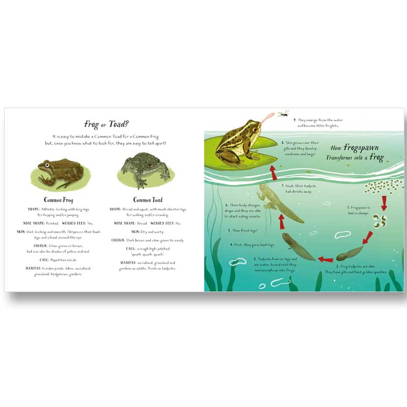 Frog or Toad? From Daisy and Jack's Perfect Pond